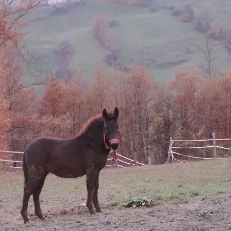 Gospodarstwo agroturystyczne Societa Agricola Cacigolara Borgo Val di Taro