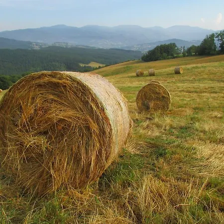 Vakantieboerderij Societa Agricola Cacigolara