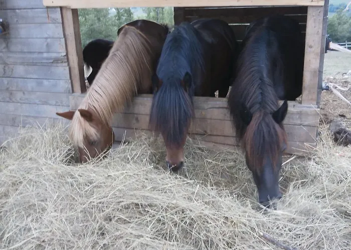 Societa Agricola Cacigolara * Borgo Val di Taro