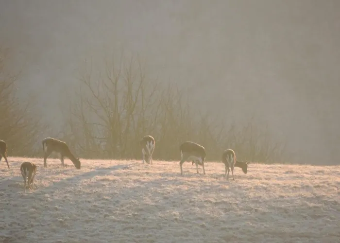 Lantgård Societa Agricola Cacigolara *