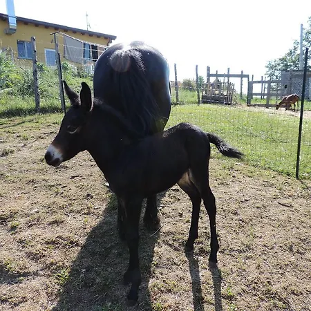 Società Agricola Cacigolara