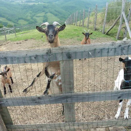 Società Agricola Cacigolara