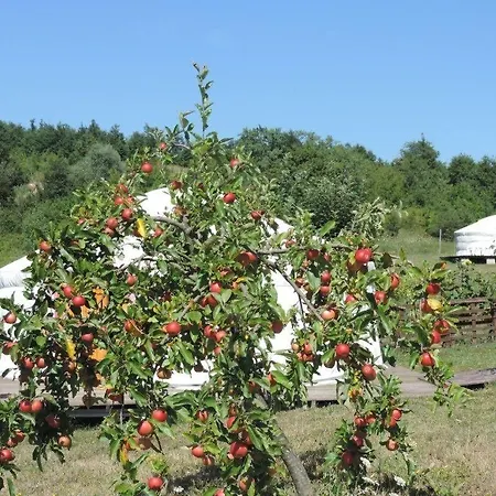 Società Agricola Cacigolara