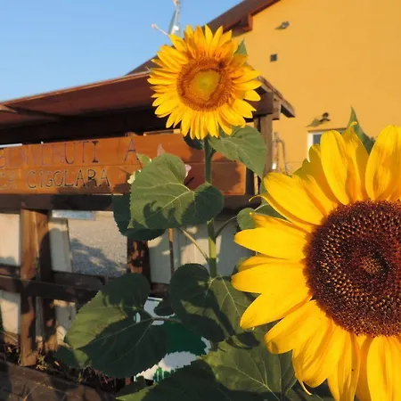 Alojamento de Turismo Rural Società Agricola Cacigolara