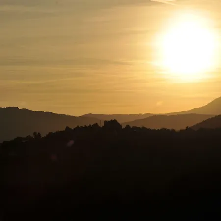 Società Agricola Cacigolara *