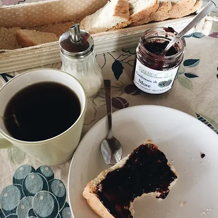 Società Agricola Cacigolara Alojamento de Turismo Rural