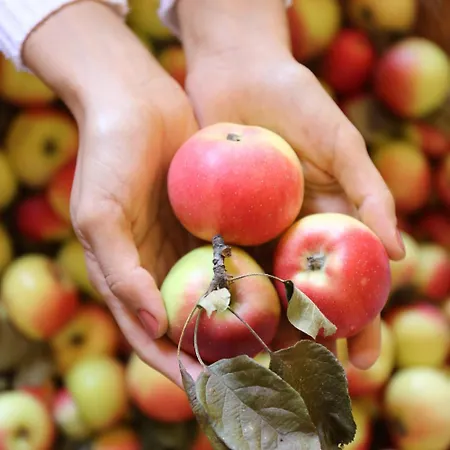 Società Agricola Cacigolara Alojamento de Turismo Rural *