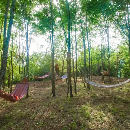 索赛塔阿格里科拉卡赛哥拉瑞农家乐 农家乐 *