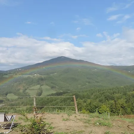 Societa Agricola Cacigolara *