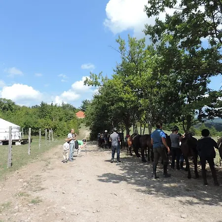 索赛塔阿格里科拉卡赛哥拉瑞农家乐