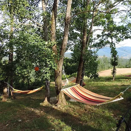 Farm stay Societa Agricola Cacigolara *