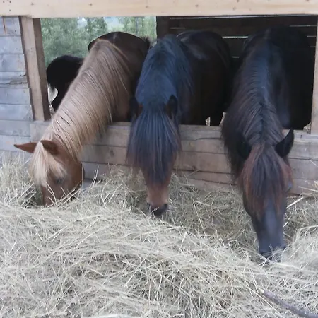 Società Agricola Cacigolara * Borgo Val di Taro