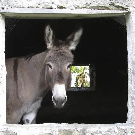 Società Agricola Cacigolara * Borgo Val di Taro