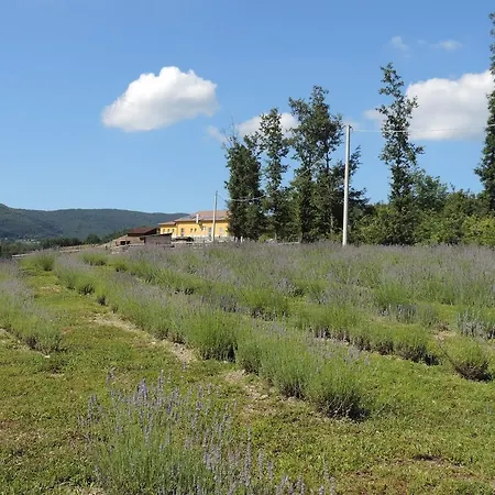 Alojamento de Turismo Rural Società Agricola Cacigolara *