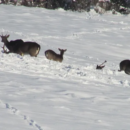 Società Agricola Cacigolara *