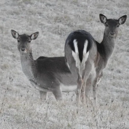 Società Agricola Cacigolara Borgo Val di Taro