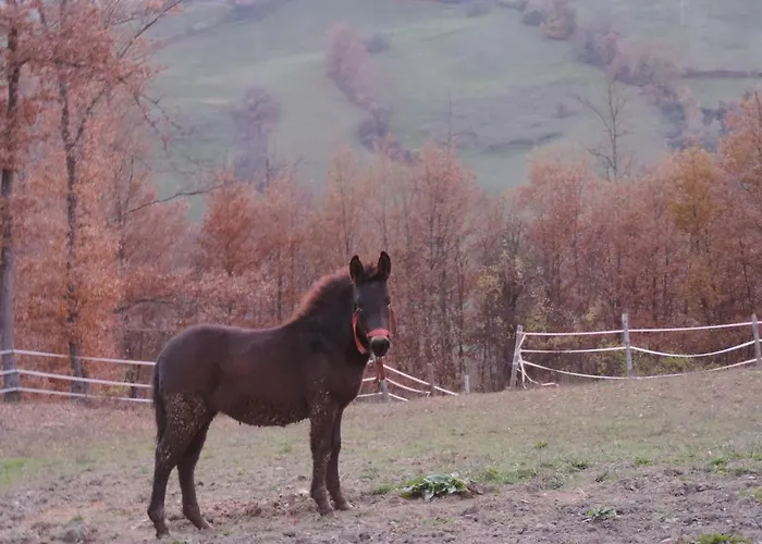Alloggio per agriturismo Società Agricola Cacigolara Borgo Val di Taro