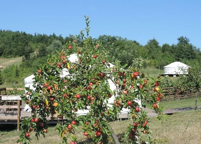Società Agricola Cacigolara