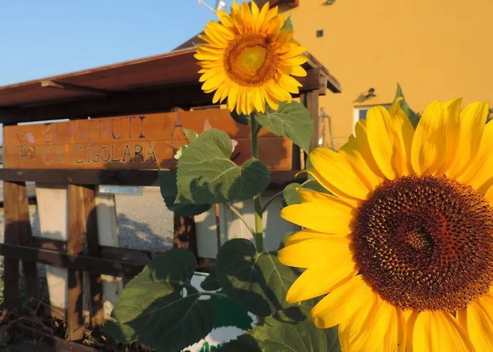 Alloggio per agriturismo Società Agricola Cacigolara