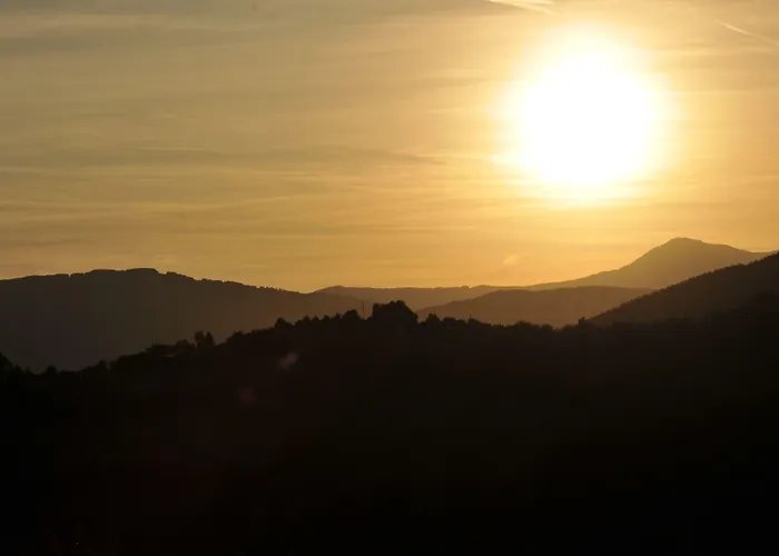 Società Agricola Cacigolara *