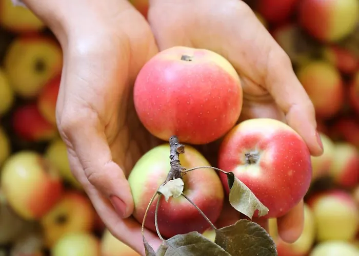 Società Agricola Cacigolara Alloggio per agriturismo *