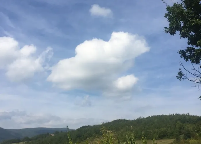 Società Agricola Cacigolara Alloggio per agriturismo *