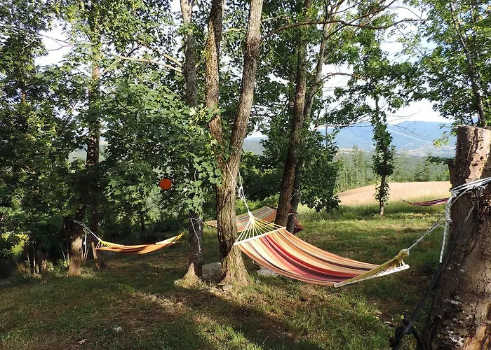 Alloggio per agriturismo Società Agricola Cacigolara *