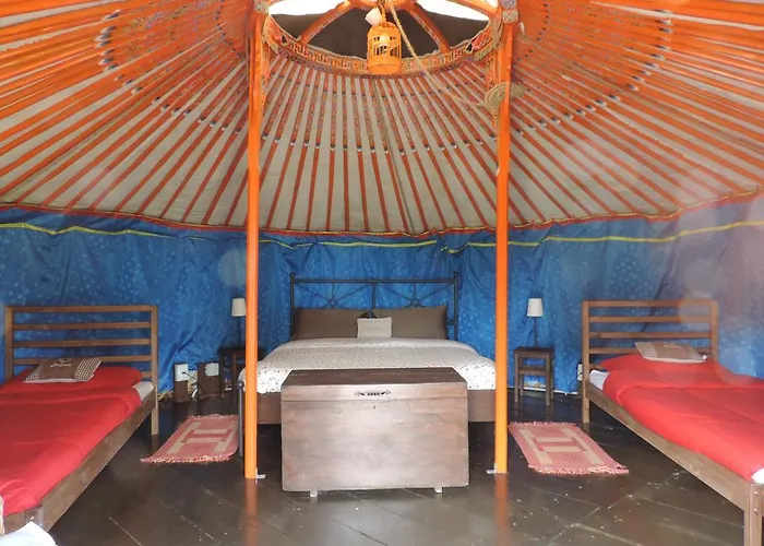 Società Agricola Cacigolara