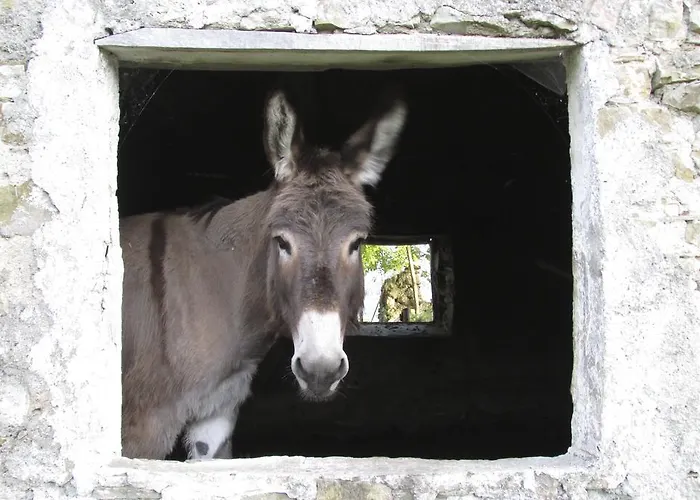 Società Agricola Cacigolara * Borgo Val di Taro