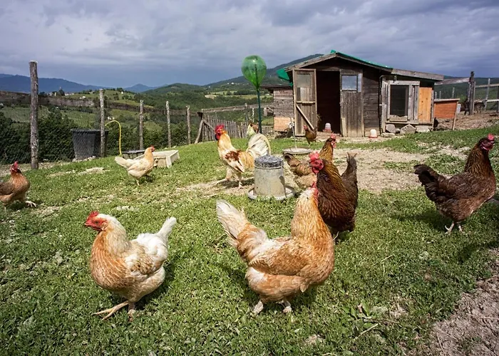 Società Agricola Cacigolara Alloggio per agriturismo